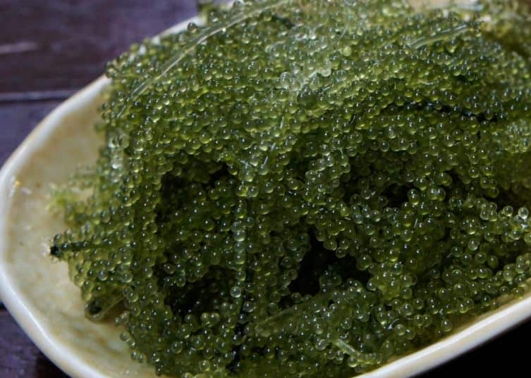 تصویر 2 از خاویار گیاهی سبز مناسب تزیین غذاهای دریایی